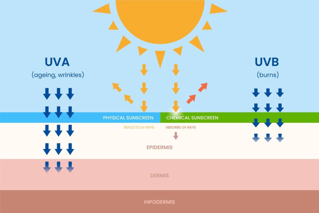 “difference between UVA and UVB rays and how they affect skin layers”